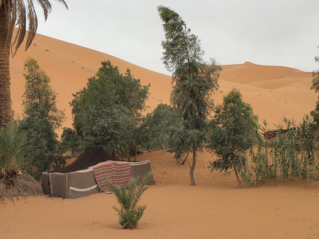 Chez Tonton Hotel Merzouga Zewnętrze zdjęcie